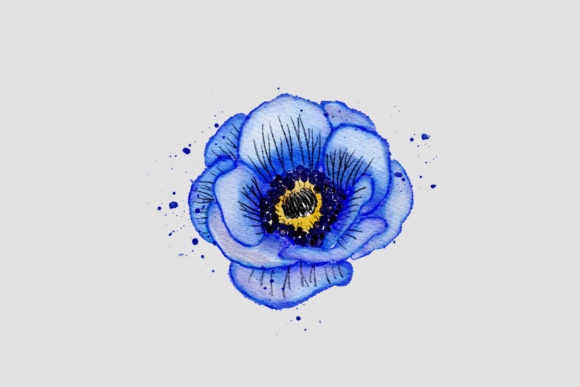 Blue Flower Watercolor PNG & Illustrations
