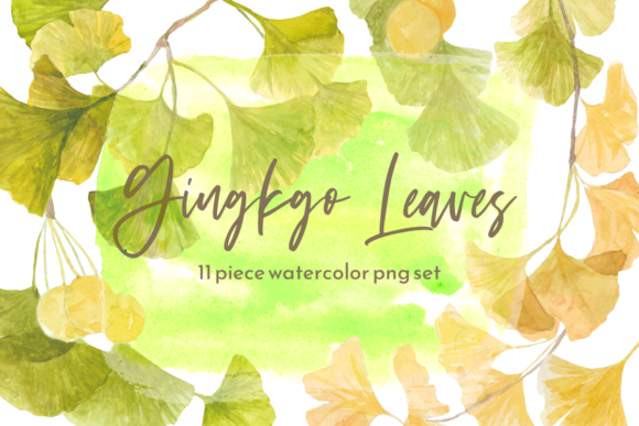 Gingkgo Fall Leaves Watercolor Set Review