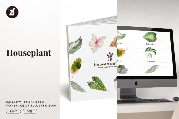Houseplant Set1 Watercolor Illustrations Review
