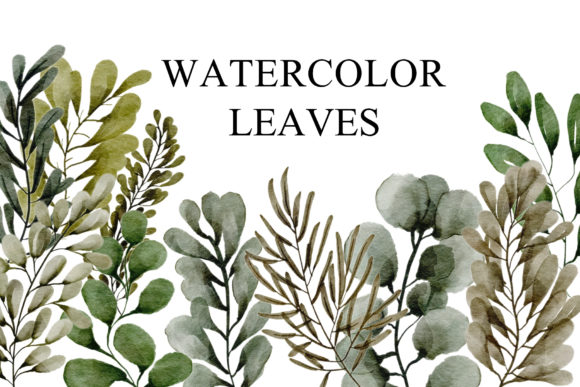 Leaves Watercolor Collection: Fresh Illustrations