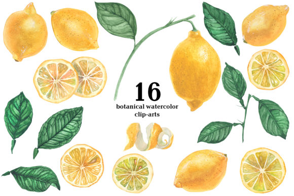 Lemon Garden. Botanical Watercolor Review