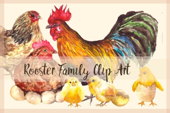 Rooster Family - Watercolor Clip Art & Illustrations
