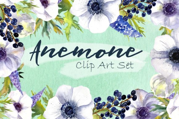 Watercolor Anemone Flowers Clipart Review