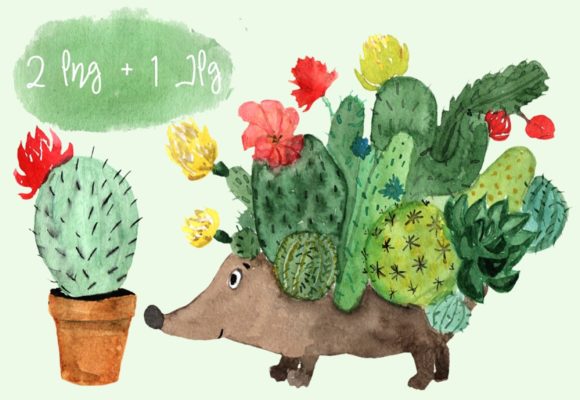 Watercolor Cactus Hedgehog Illustrations