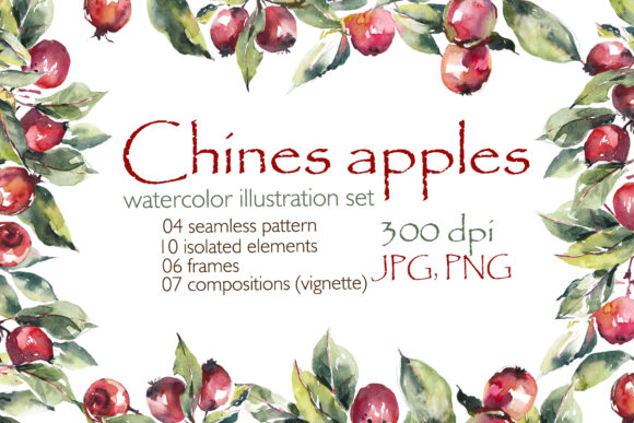Watercolor Chinese Red Apples: Fresh Illustrations