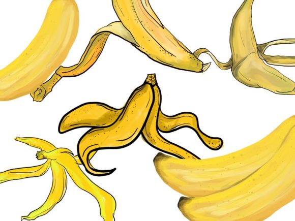 Watercolor Classic Banana Illustrations Review
