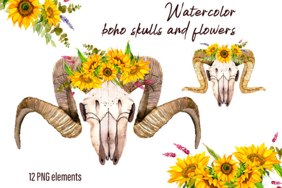 Watercolor Clipart Boho Skull and Flower Review