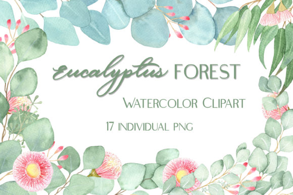 Watercolor Eucalyptus Foliage Clipart & Illustrations
