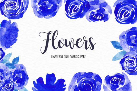 Watercolor Flower Illustration for Digital Sales