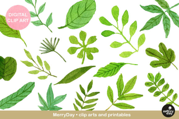 Watercolor Green Leaves Clip Art & Illustrations