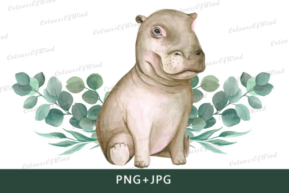 Watercolor Hippo Sublimation Graphics & Illustrations