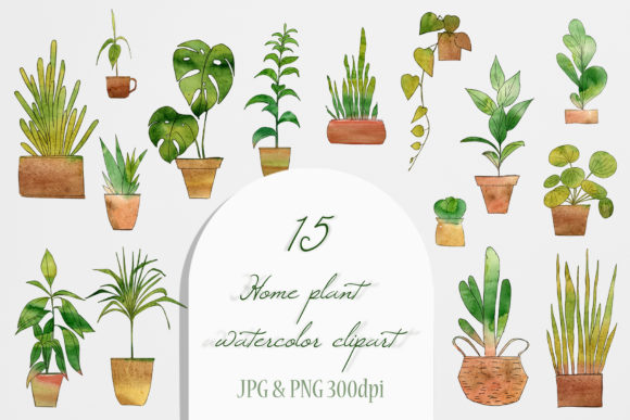 Watercolor Home Plant Clipart Set Illustrations
