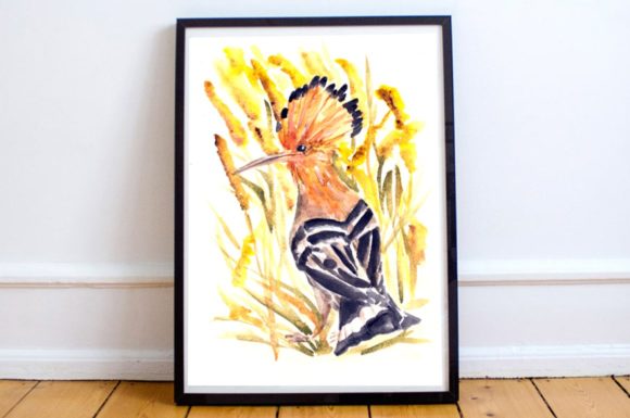 Watercolor Hoopoe Print: Brand Illustrations Review