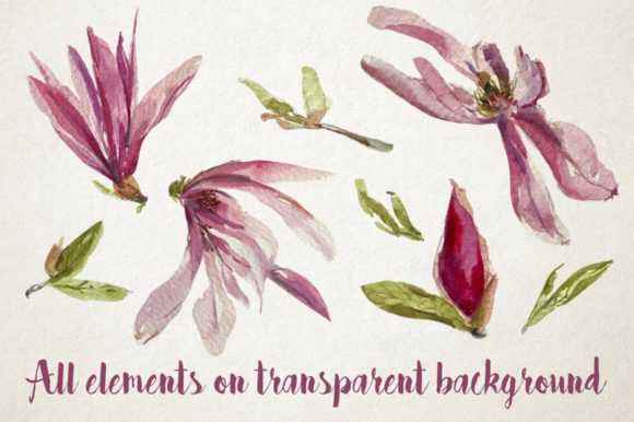 Watercolor Magnolia Clip Art Pattern Review