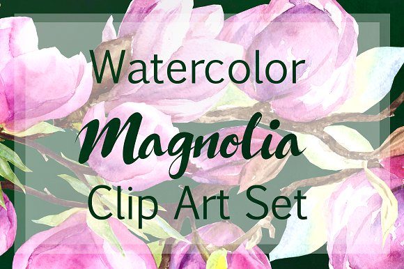 Watercolor Magnolia Clip Art Set & Illustrations