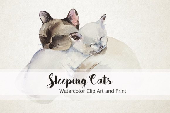 Watercolor Sleeping Cats: Soft Illustrations